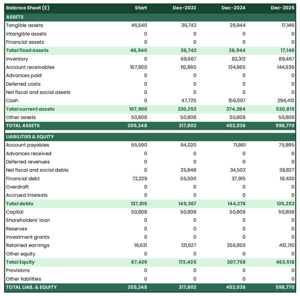 example of projected balance sheet in a colza oil producer business plan