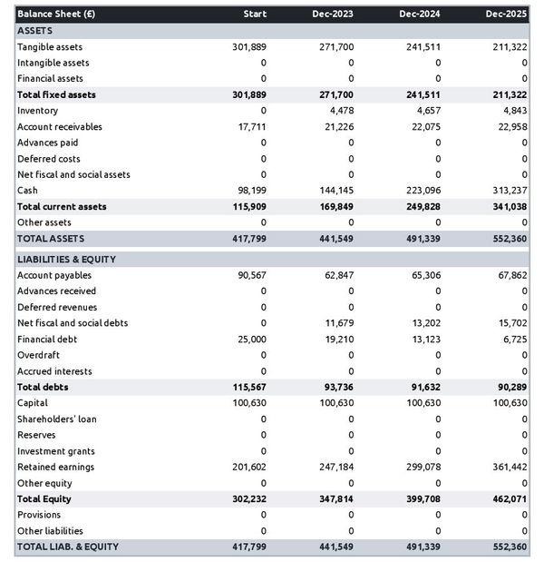 projected balance sheet in a water distribution company business plan example