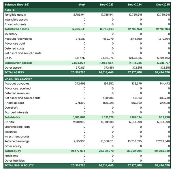 example of forecasted balance sheet in a water purification plant business plan