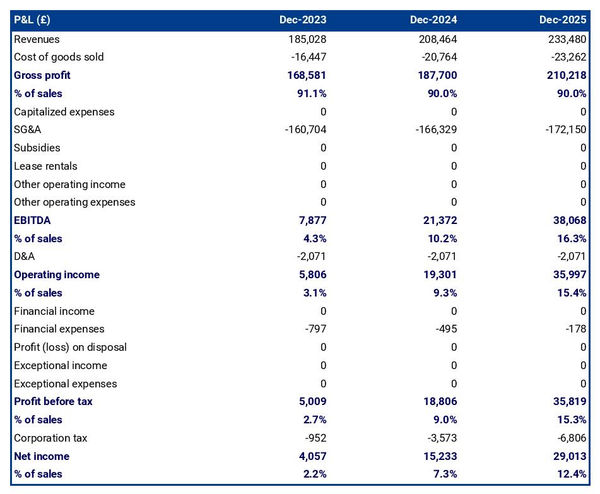 projected profit and loss statement example in a auto equipment store business plan