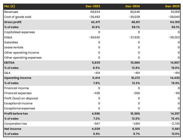 forecasted profit and loss statement in a door to door sales business plan