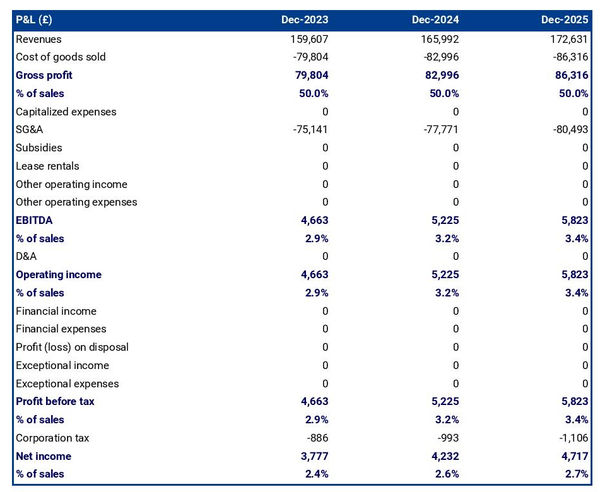 example of projected profit and loss statement in a diy and hardware store business plan