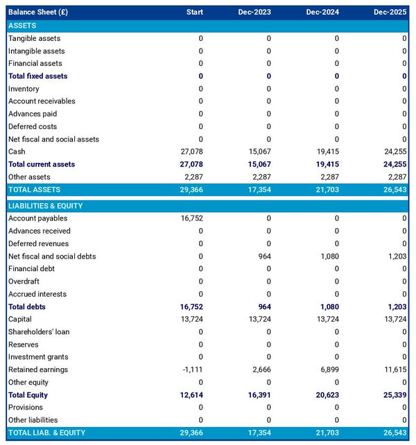 example of projected balance sheet in a diy and hardware store business plan