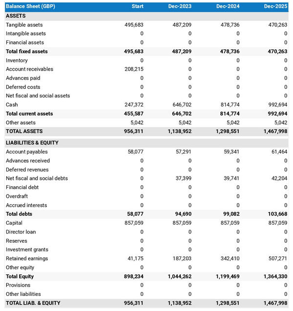 projected balance sheet in a private jet rental business plan example