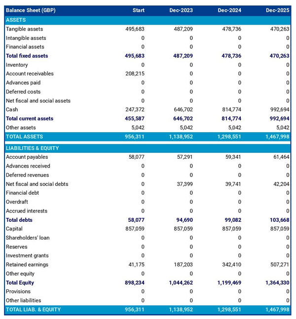 example of projected balance sheet in a helicopter tour business plan