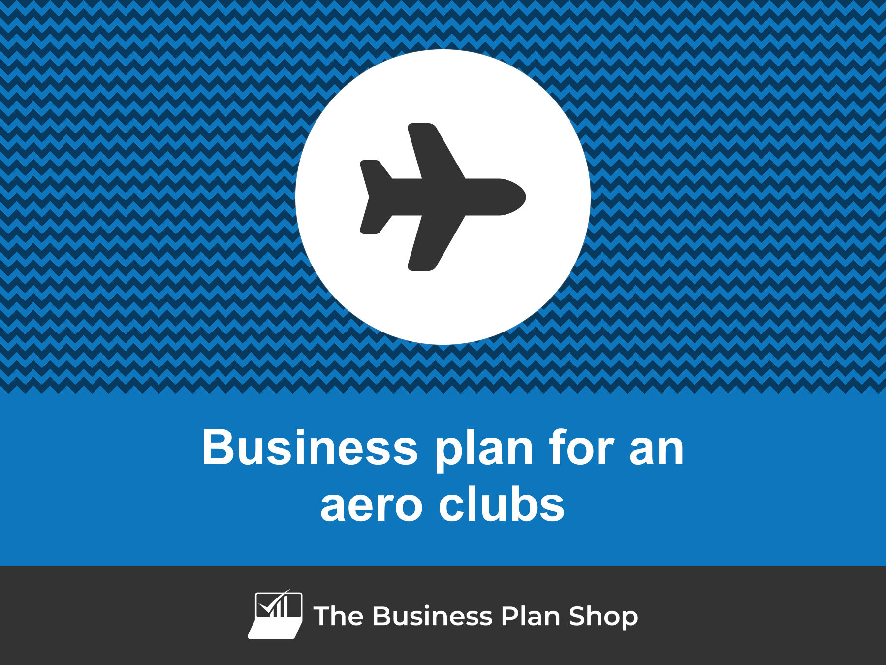 flying club business plan