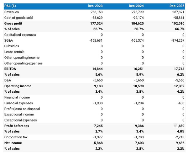 projected profit and loss statement example in a pedal boat rental company business plan