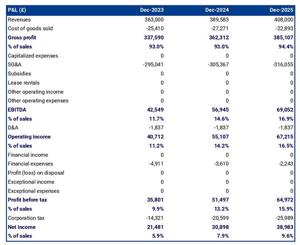 forecasted profit and loss statement in a software as a service firm business plan