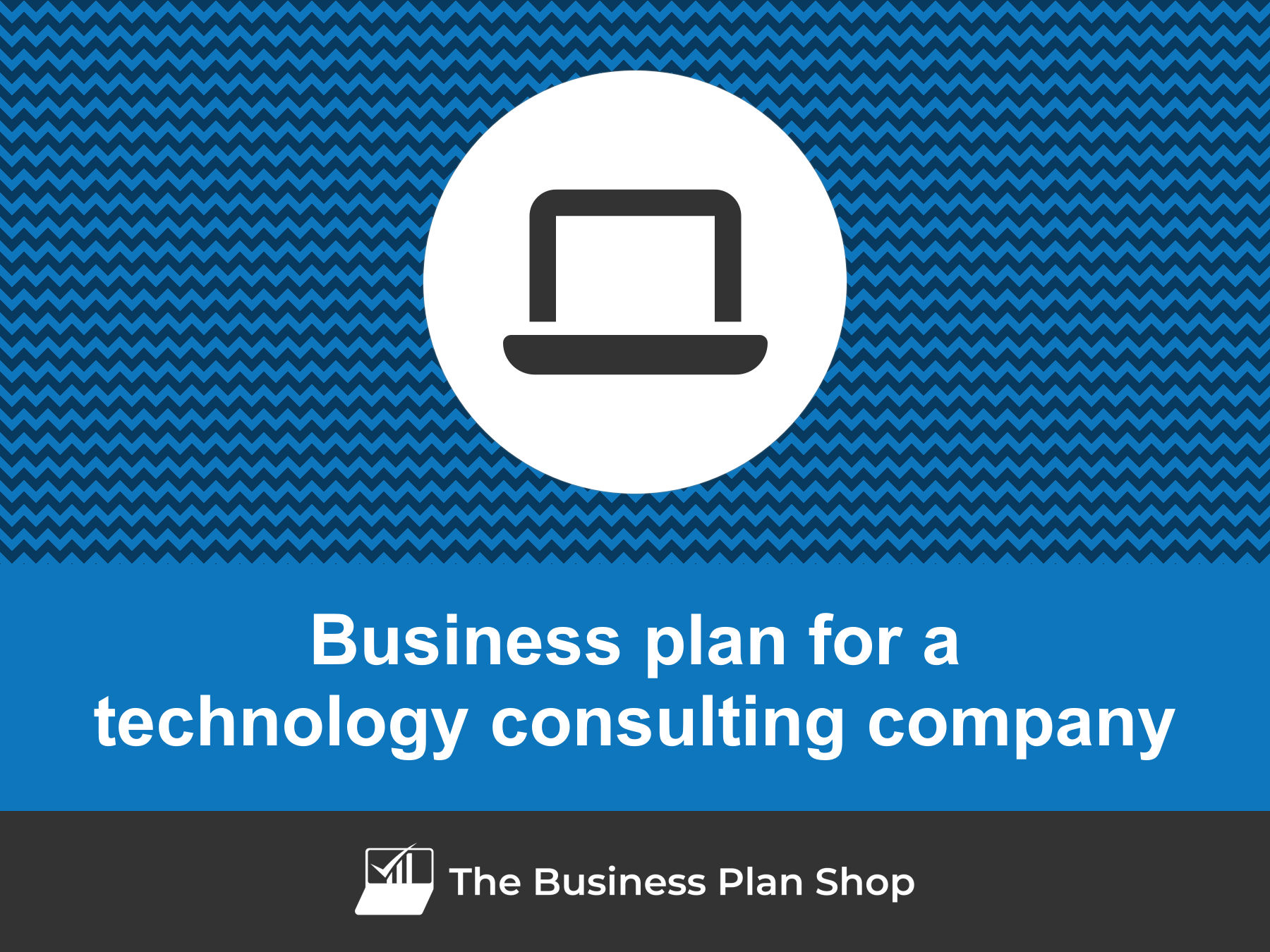 technology consulting business plan