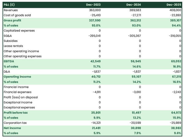 example of projected profit and loss statement in a data processing services business plan