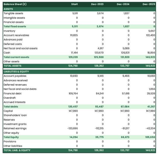 projected balance sheet in a data processing services business plan example