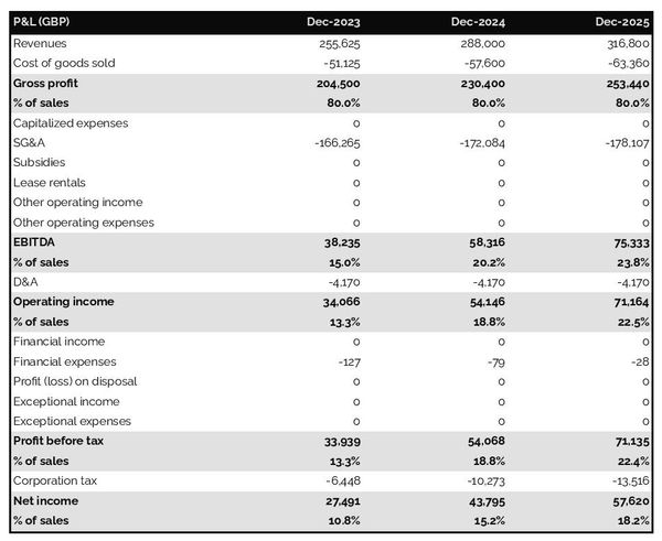 forecasted profit and loss statement in a fintech business business plan