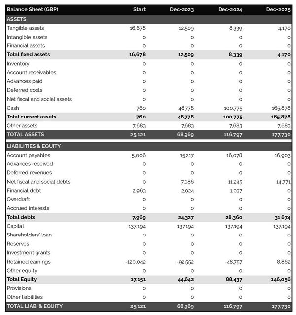 example of forecasted balance sheet in a fintech business business plan