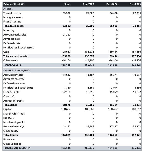 projected balance sheet in a musical instrument rental company business plan example
