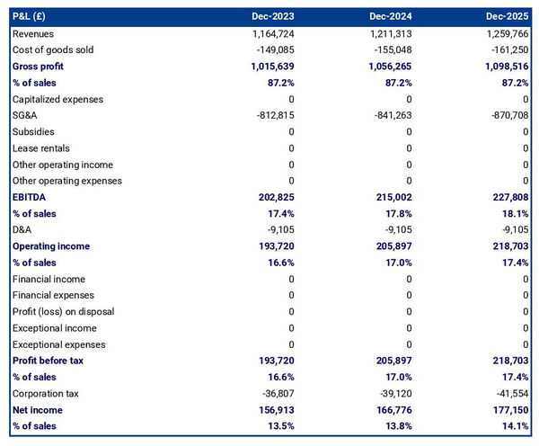 projected profit and loss statement example in a nursing home business plan