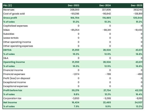 projected profit and loss statement example in a concert arena business plan