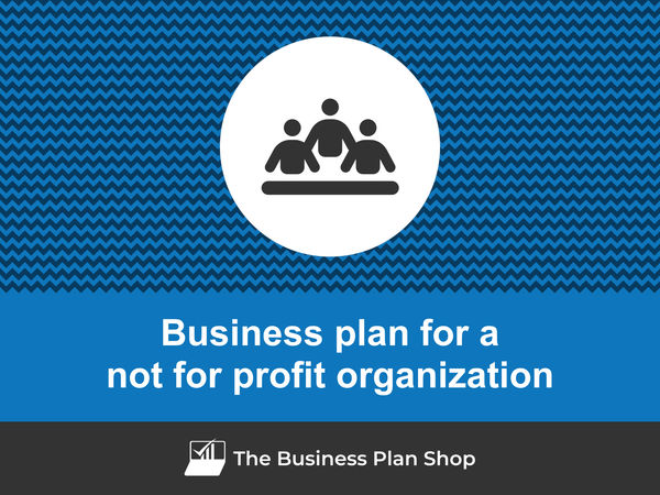 not for profit organization business plan
