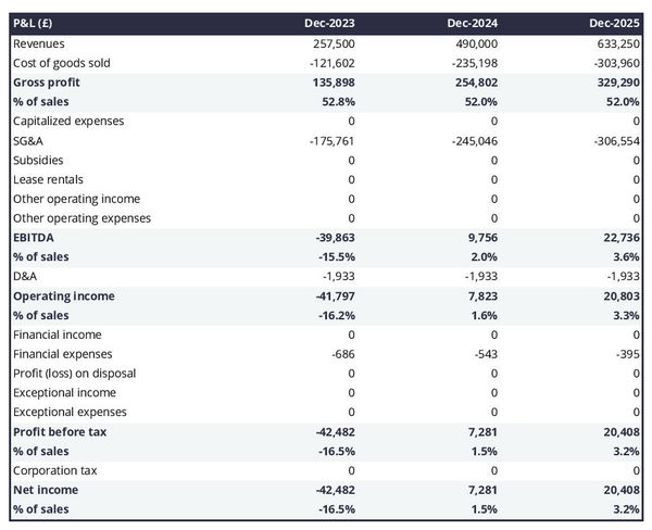 projected profit and loss statement example in a brand business plan