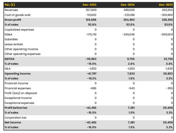 forecasted profit and loss statement in a mineral water brand business plan