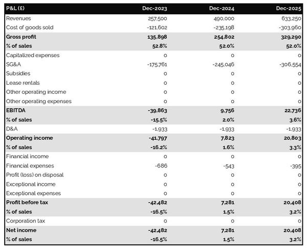 example of projected profit and loss statement in a cosmetic brand business plan