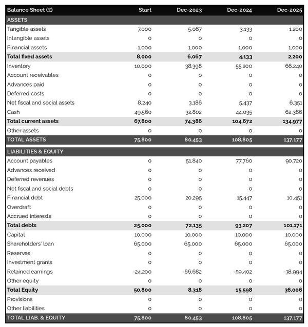 projected balance sheet in a cosmetic brand business plan example