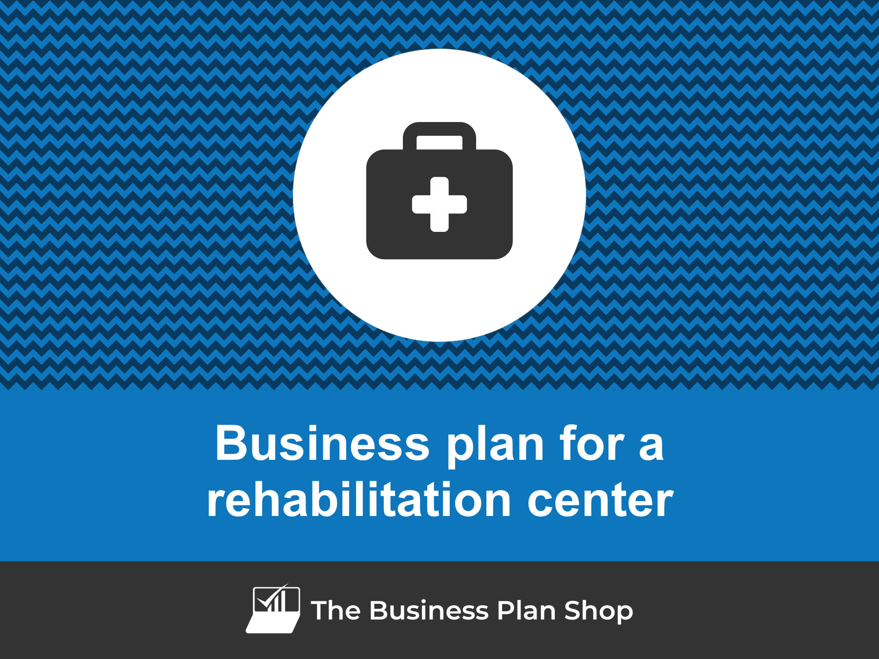 business plan for a rehab centre