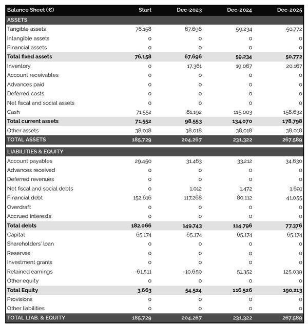 example of forecasted balance sheet in a paintball business plan