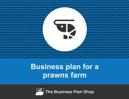 How to write a business plan for a prawn farm?