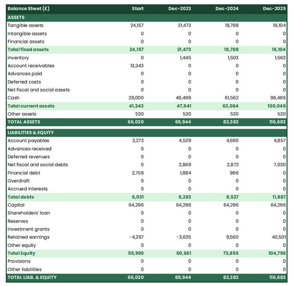 example of projected balance sheet in a quails farm business plan