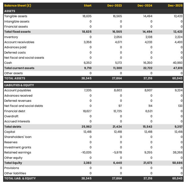 projected balance sheet in a quad store business plan example