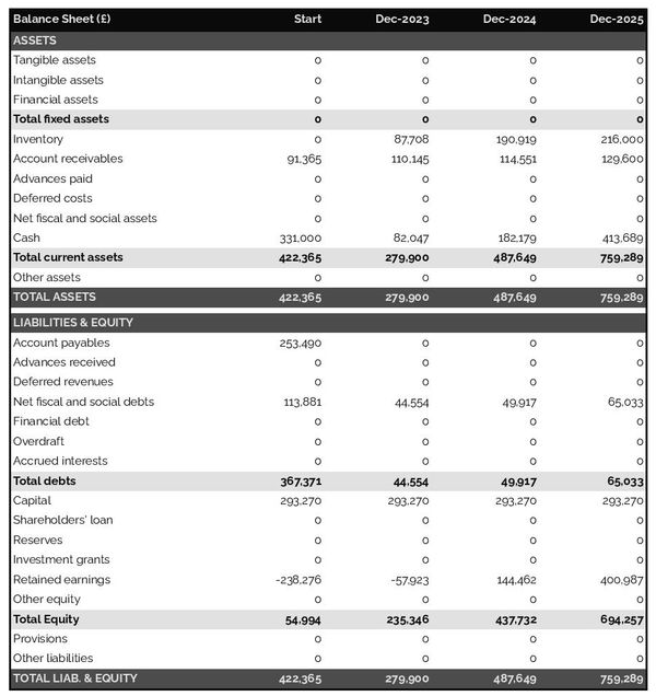 example of projected balance sheet in a sale via telephone business plan