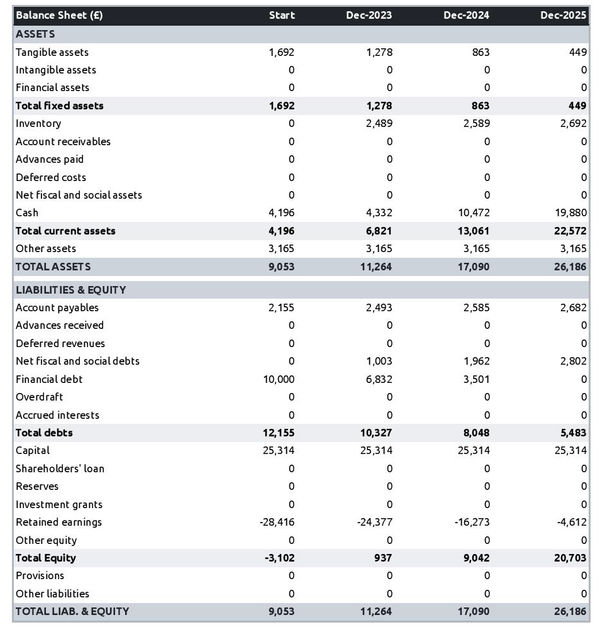 projected balance sheet in a party and fancy dress store business plan example