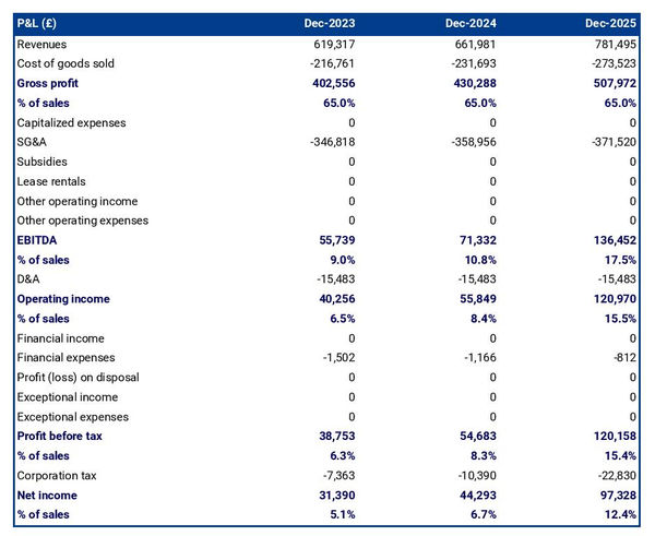 projected profit and loss statement example in a private chauffeur business plan