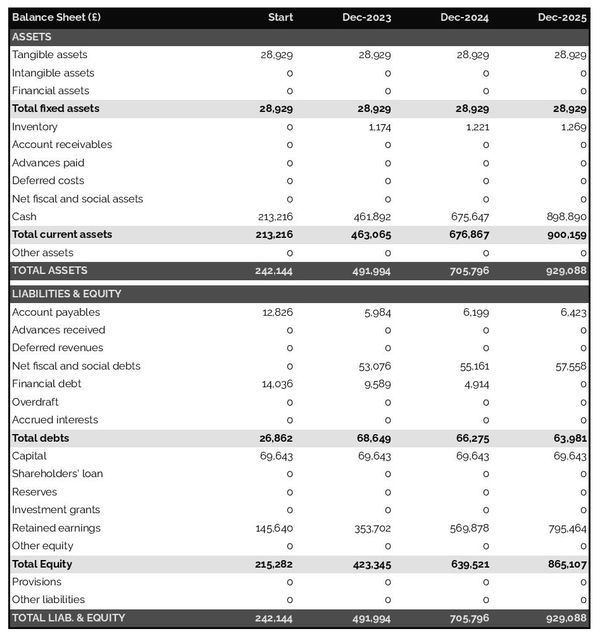 example of forecasted balance sheet in a hammam business plan