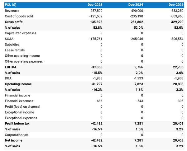 forecasted profit and loss statement in a soft drink brand business plan