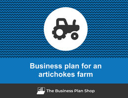 Guide to create a business plan for an artichoke farm