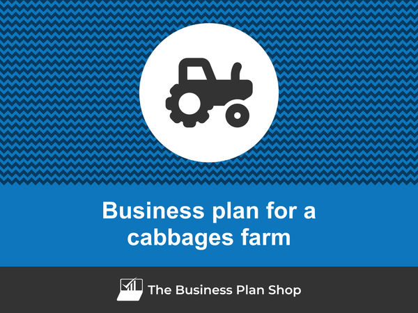 How to write a business plan for a cabbage farm?