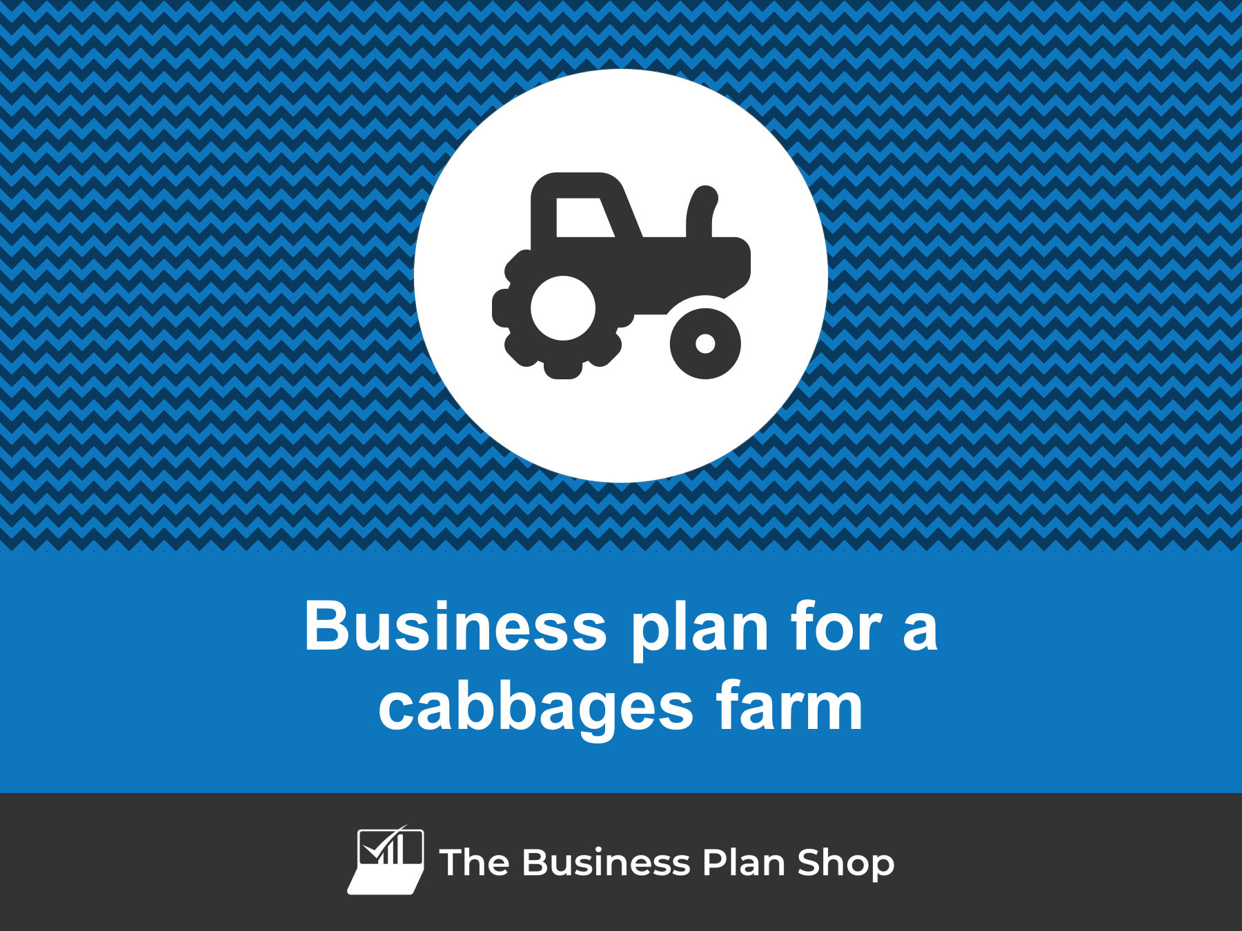 business plan of cabbage production