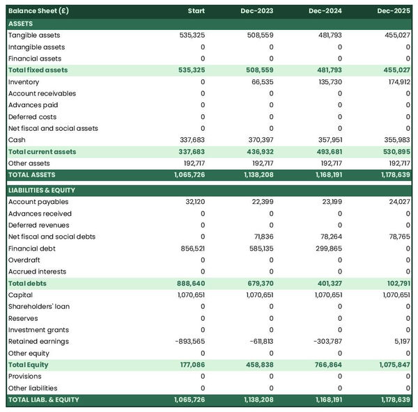 example of projected balance sheet in a tomato farm business plan