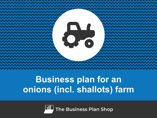 onions (incl. shallots) farm business plan
