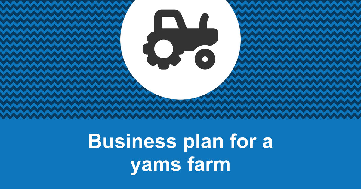 yam farm business plan