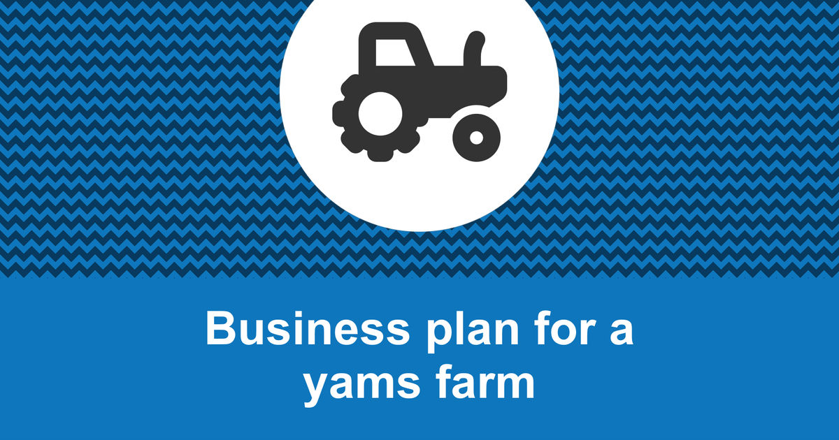 business plan on yam farming