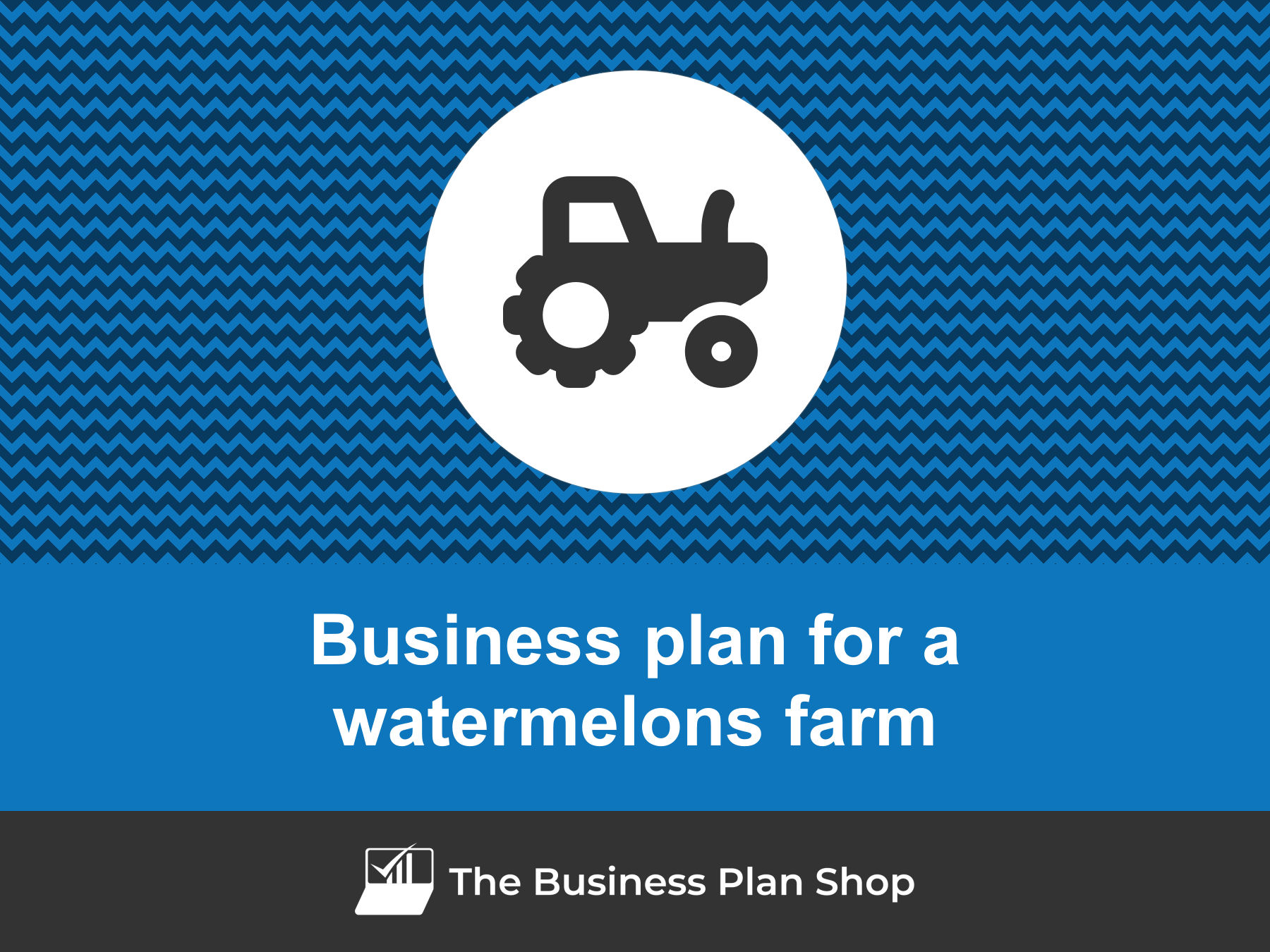 watermelon production business plan