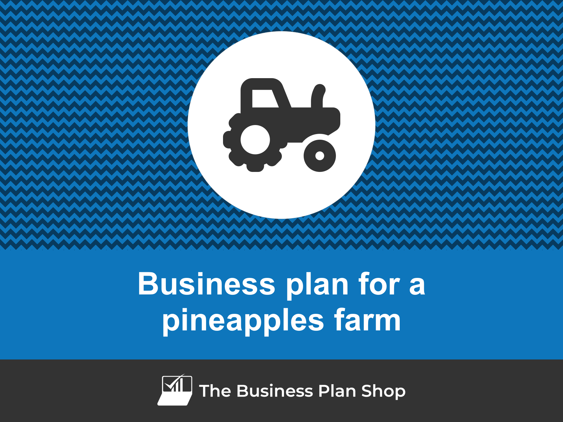 How To Write A Business Plan For A Pineapple Farm?