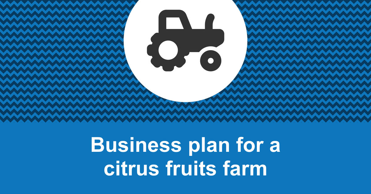 business plan for citrus farm