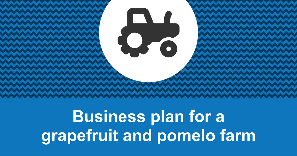How to write a business plan for a grapefruit and pomelo farm?