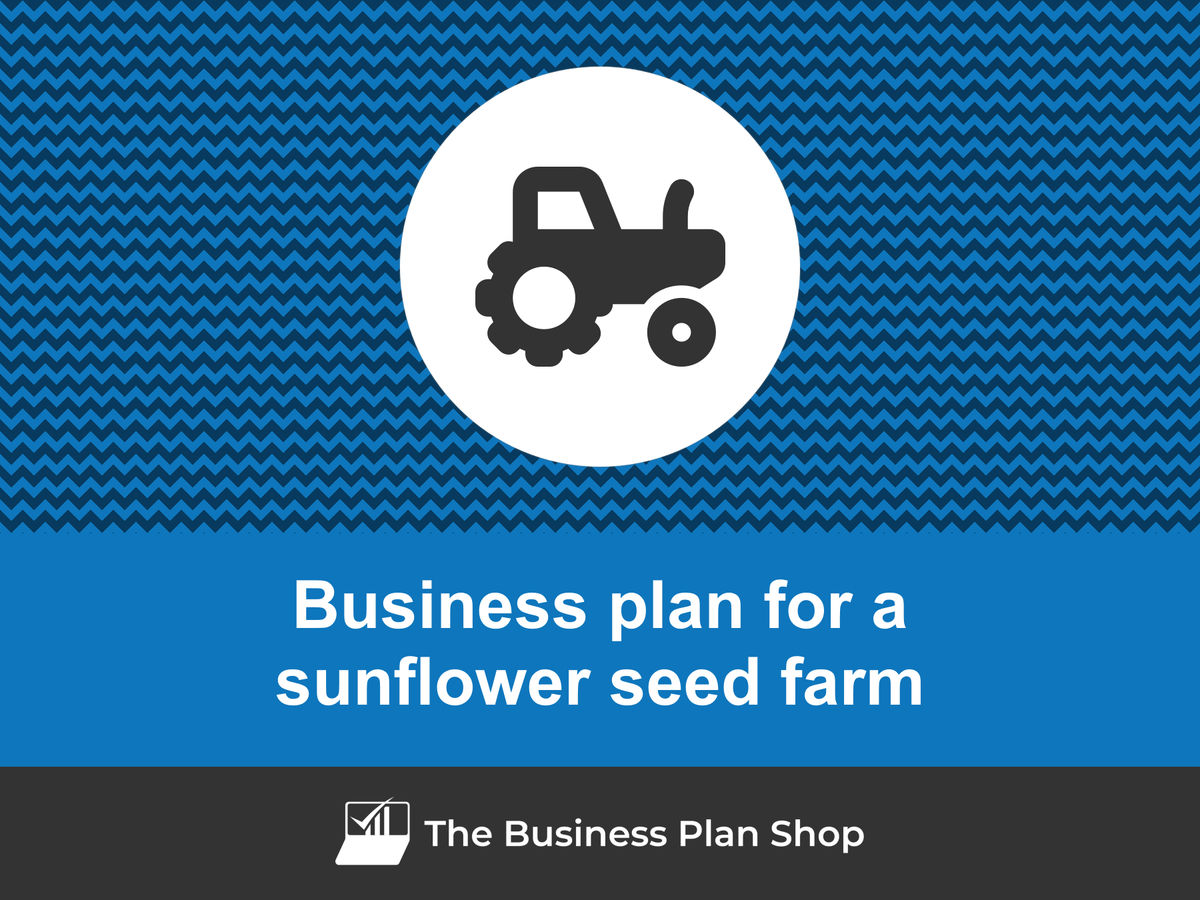 sunflower farming business plan template