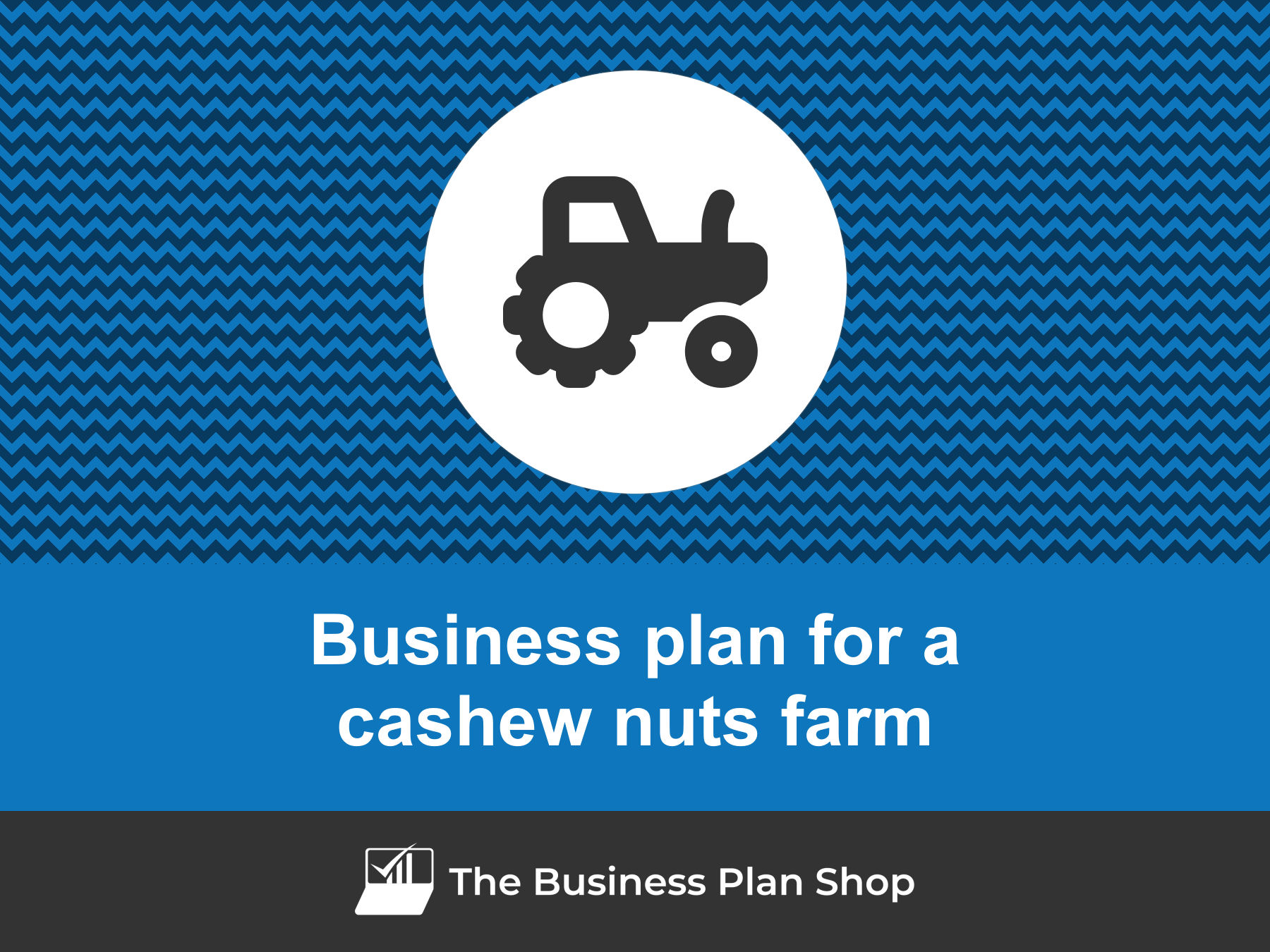 business plan on cashew nut export