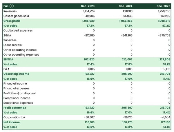 forecasted profit and loss statement in a geriatrics practice business plan