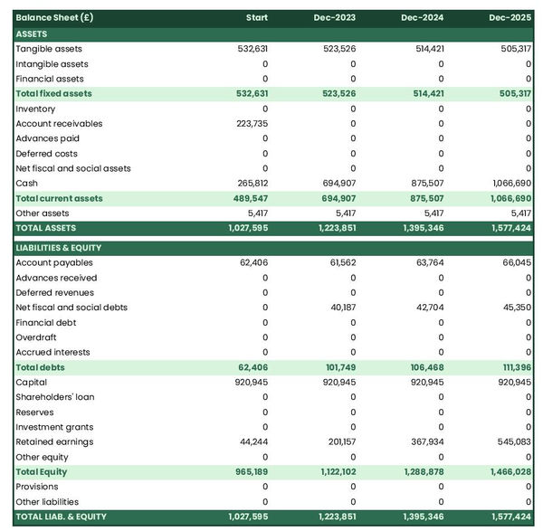 projected balance sheet in a geriatrics practice business plan example